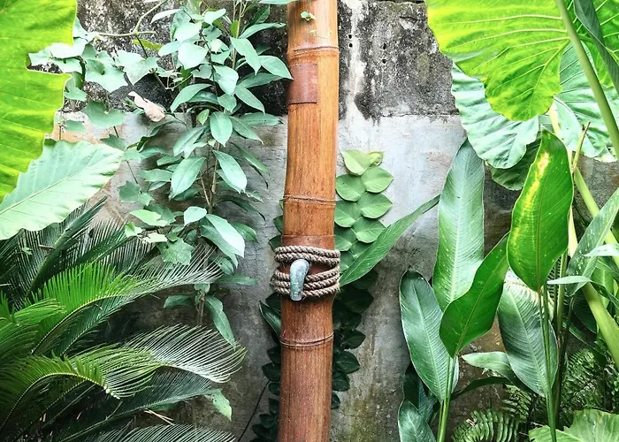 Eco Bamboo Jungle ゲストハウス チャングー