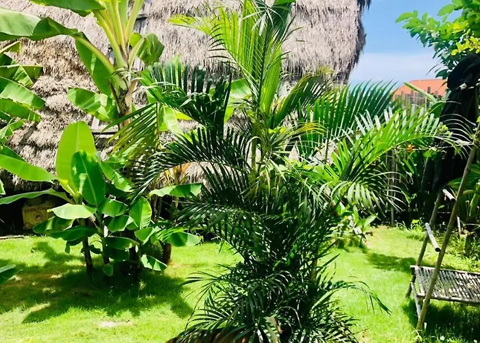 Eco Bamboo Jungle ゲストハウス チャングー