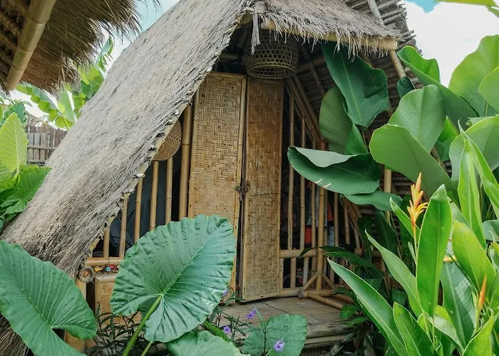 Eco Bamboo Jungle ゲストハウス チャングー