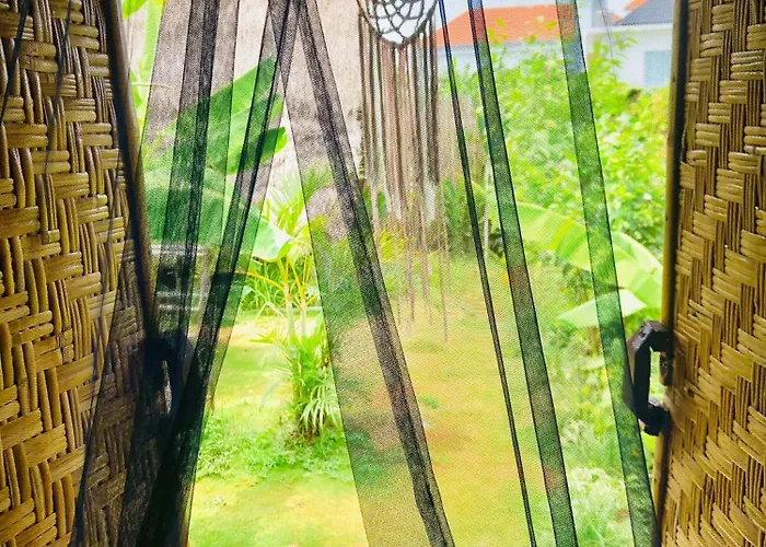 Eco Bamboo Jungle ゲストハウス