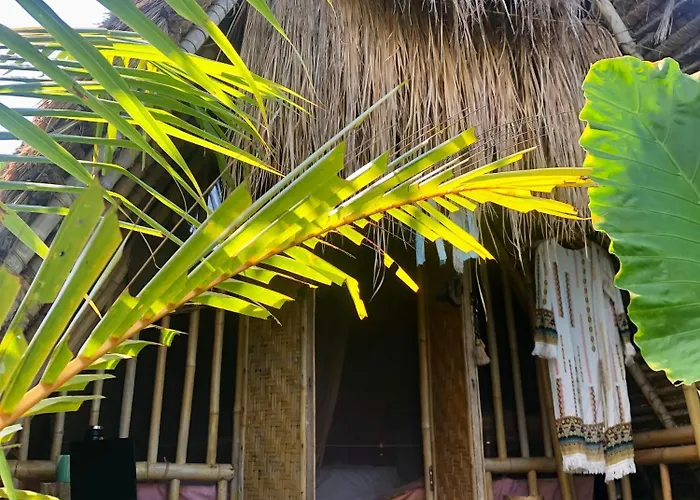 Eco Bamboo Jungle * チャングー