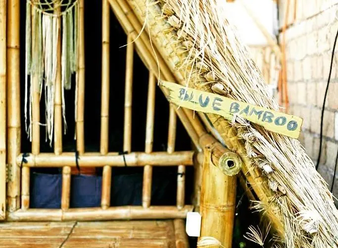 Eco Bamboo Jungle