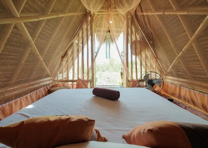 Eco Bamboo Jungle *